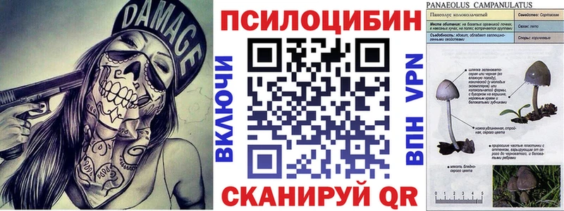 Купить закладки Лесной Псилоцибиновые грибы MAGIC MUSHROOMS