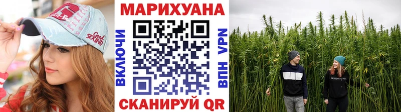 Купить  Лесной  Бошки марихуана ГИДРОПОН 